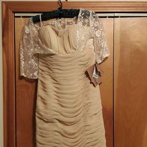Beautiful cocktail/mother of bride/groom dress
